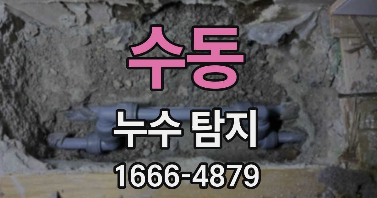 수동 누수 탐지
