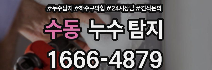 수동 누수 탐지