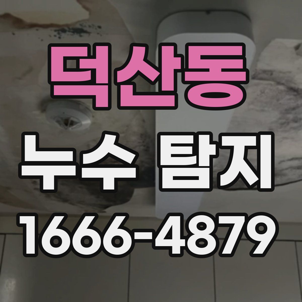 덕산동 누수 탐지