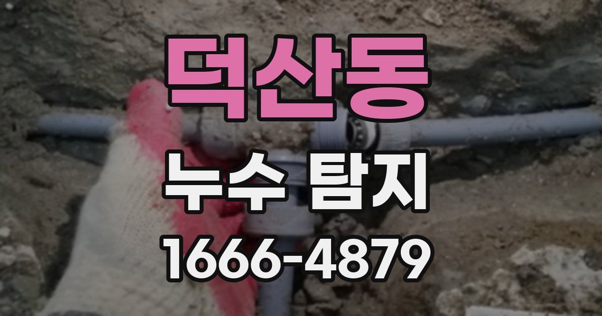 덕산동 누수 탐지