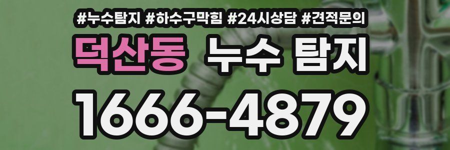 덕산동 누수 탐지