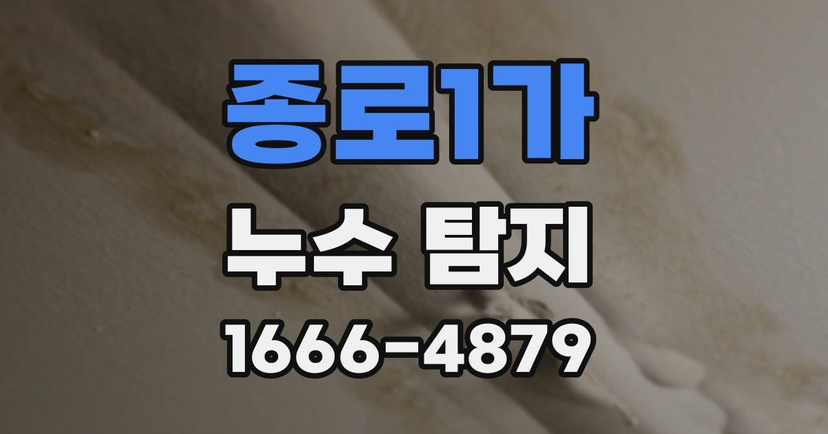 종로1가 누수 탐지