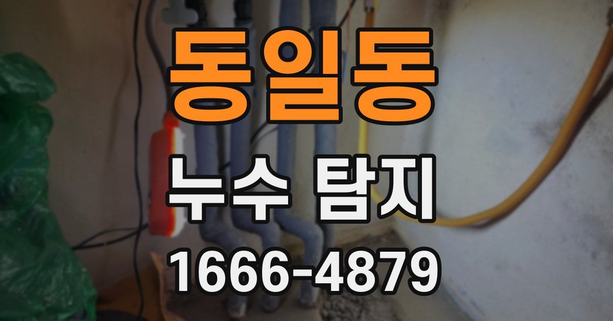 동일동 누수 탐지