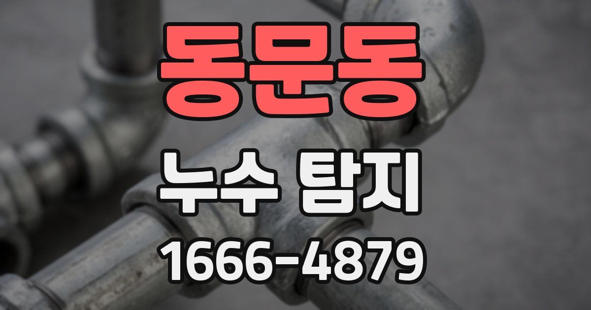 동문동 누수 탐지