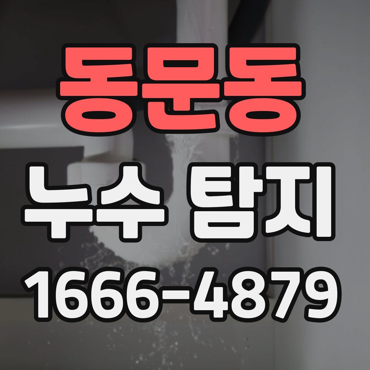 동문동 누수 탐지