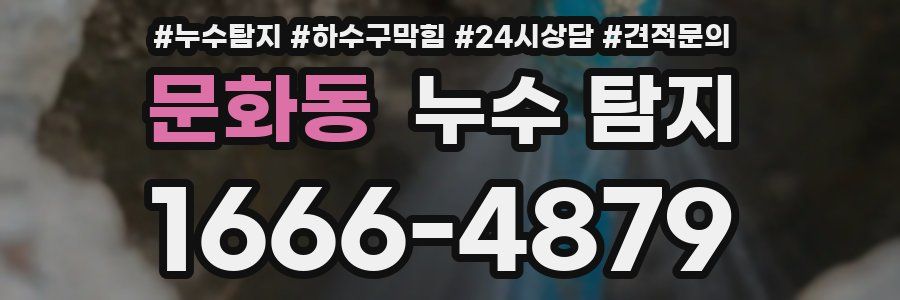 문화동 누수 탐지