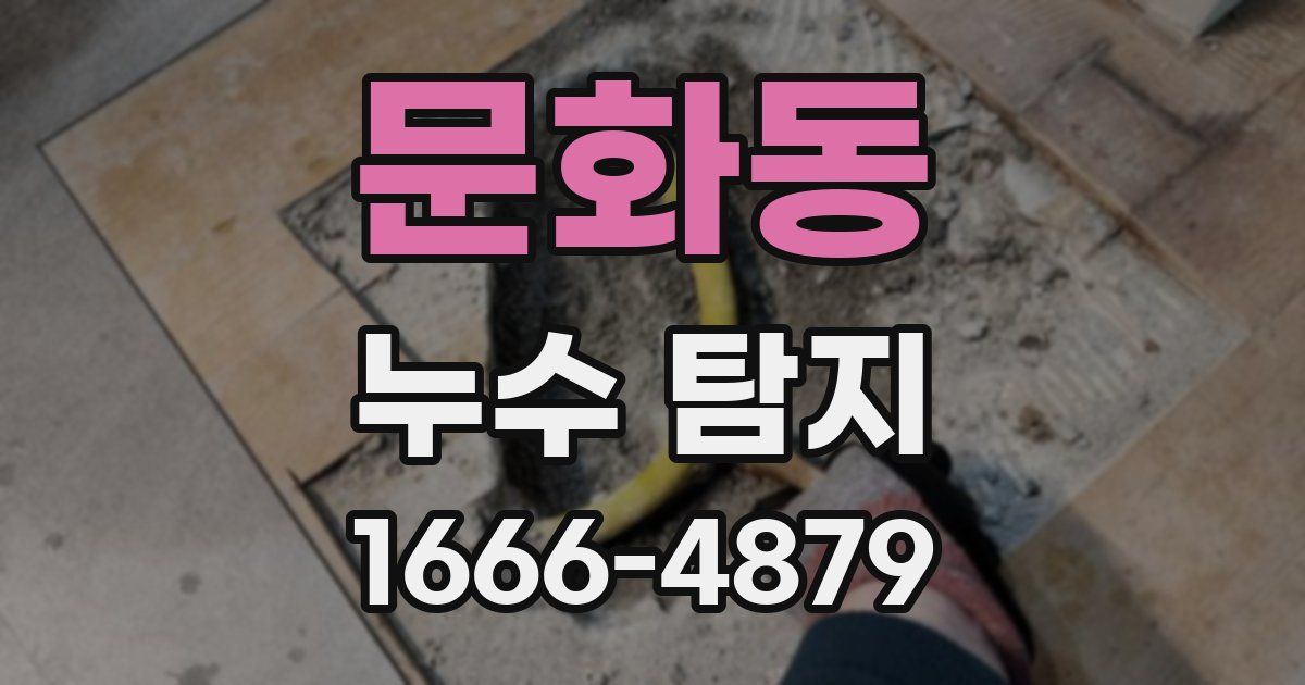 문화동 누수 탐지