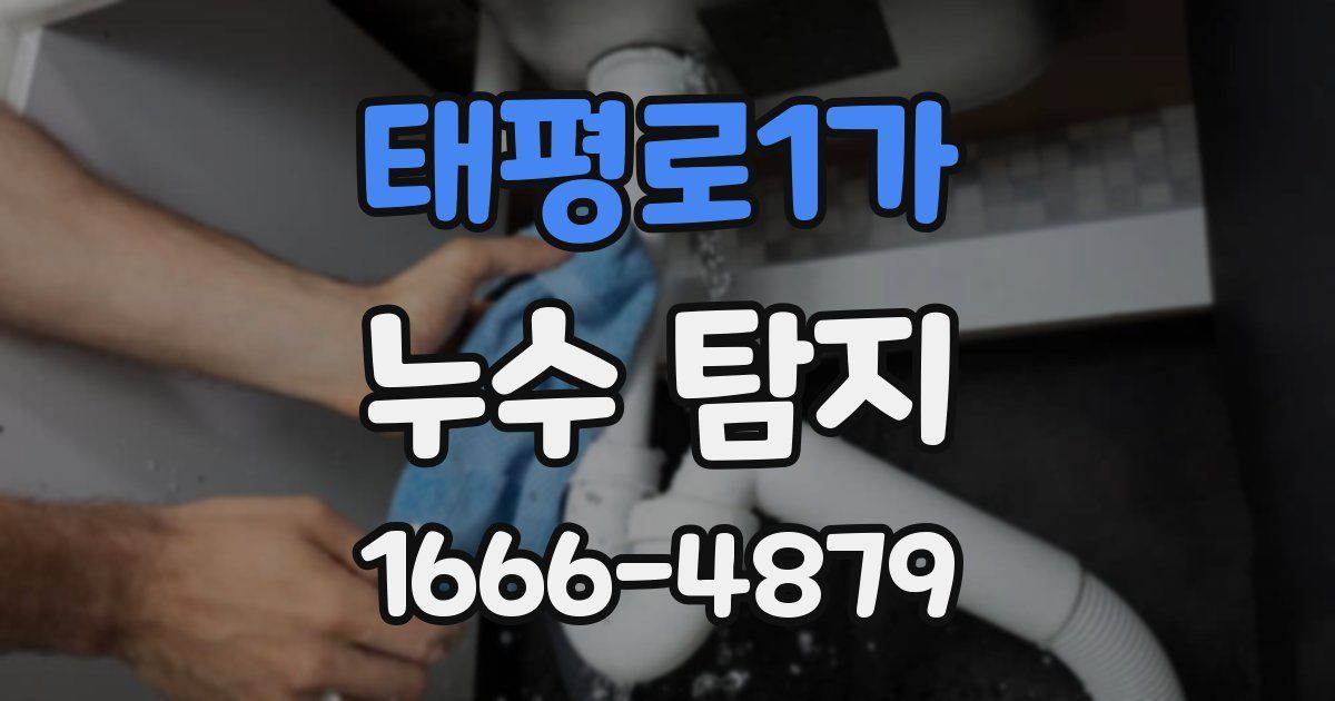 태평로1가 누수 탐지