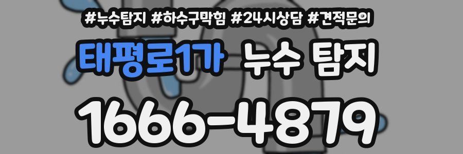 태평로1가 누수 탐지