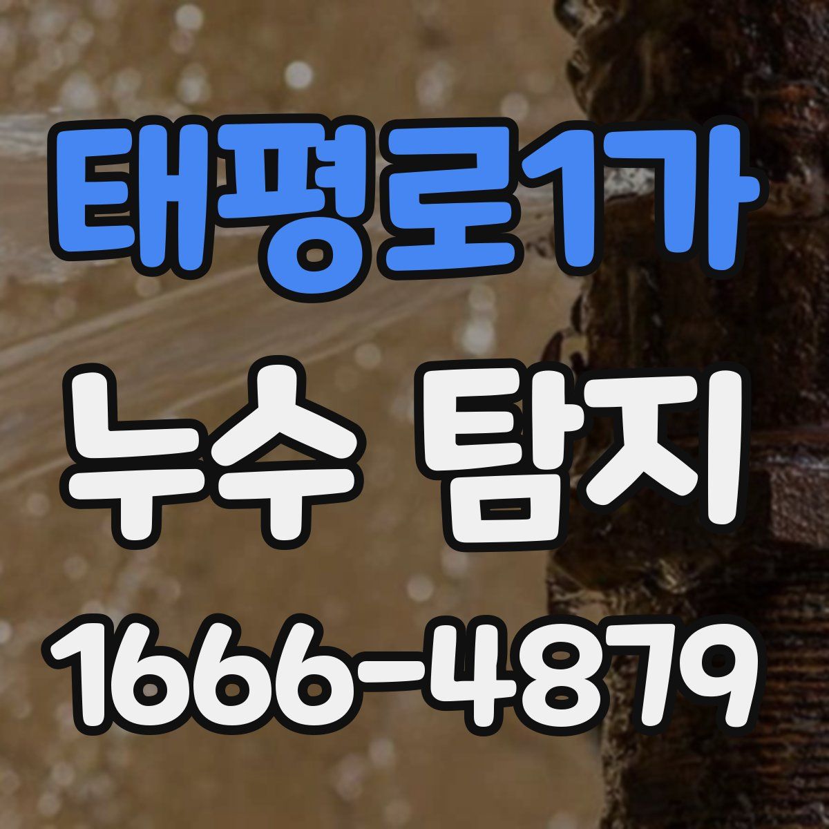 태평로1가 누수 탐지