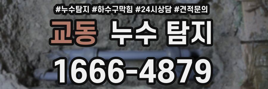 교동 누수 탐지