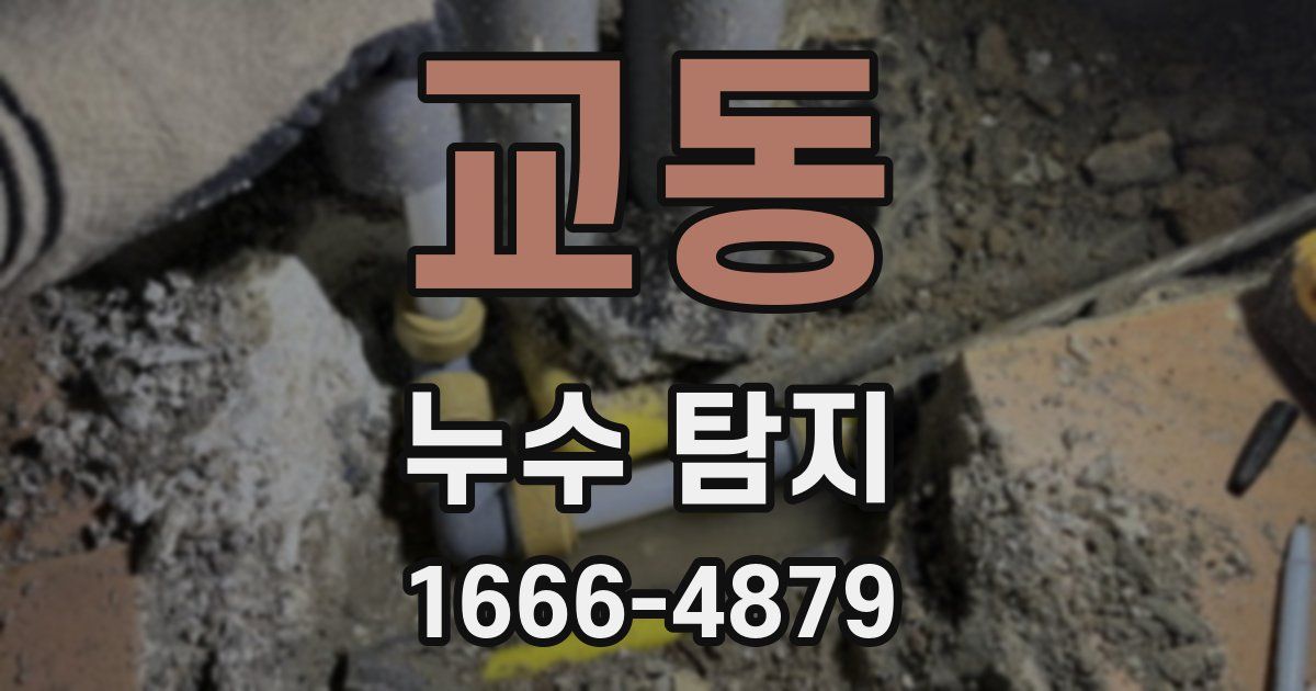 교동 누수 탐지