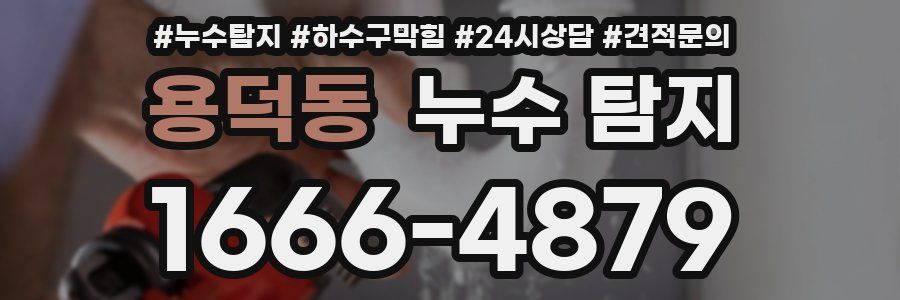 용덕동 누수 탐지
