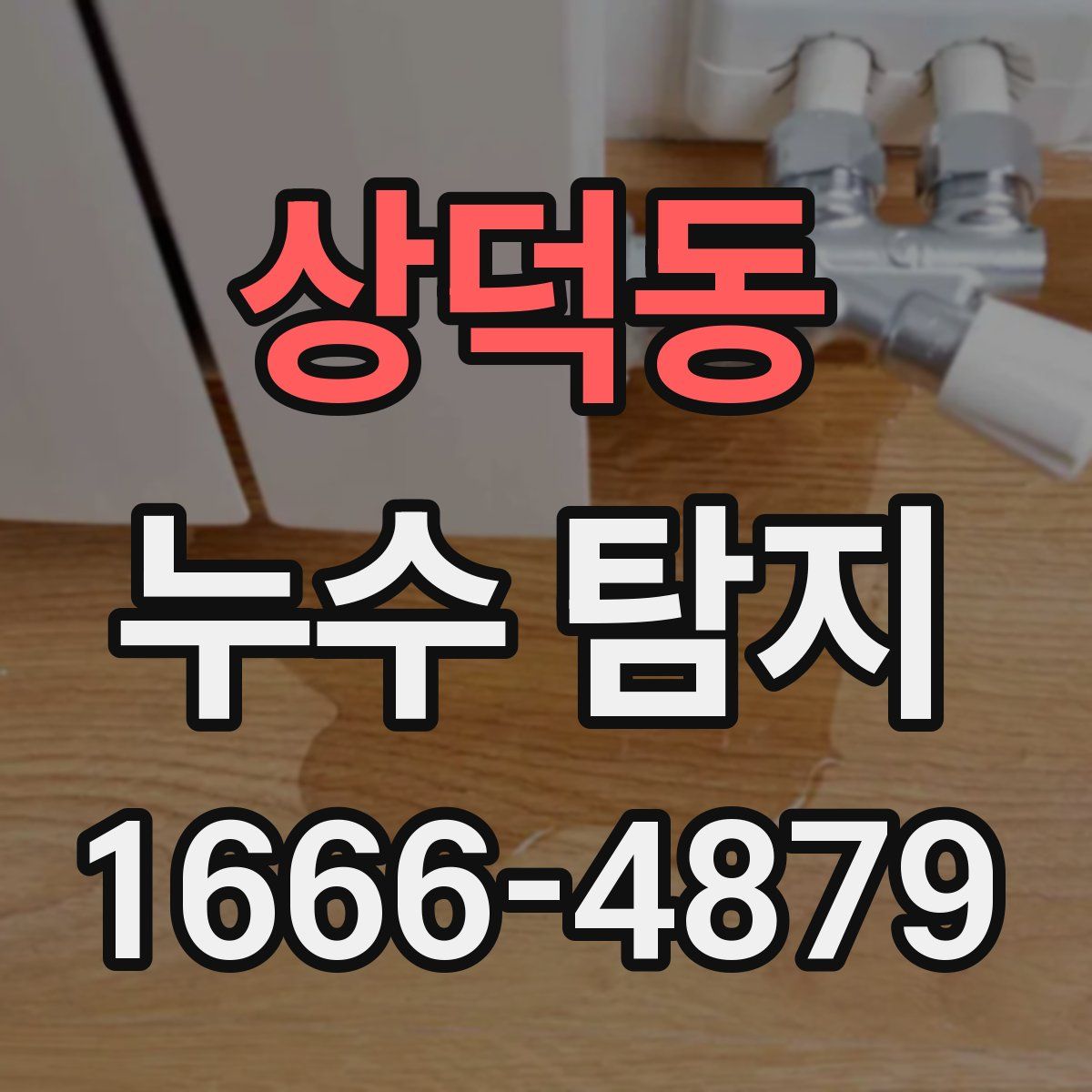 상덕동 누수 탐지