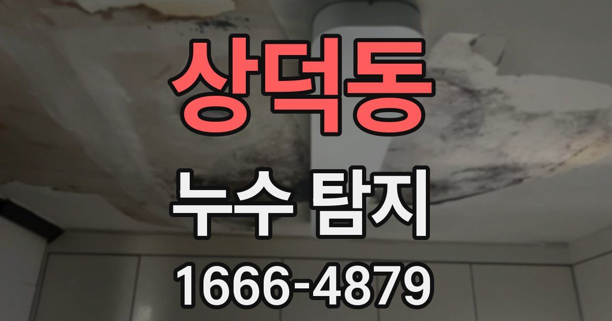 상덕동 누수 탐지