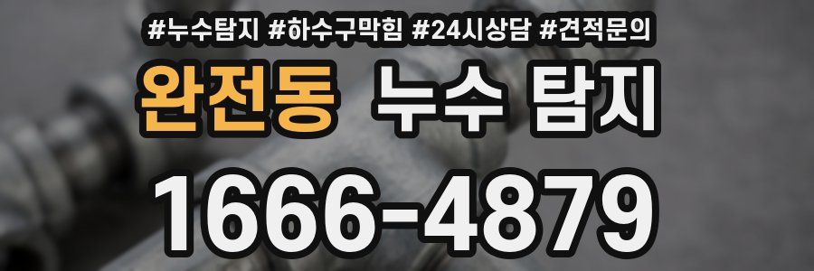 완전동 누수 탐지