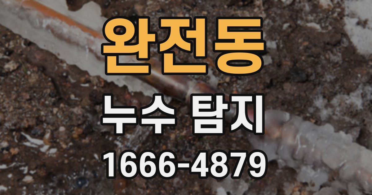완전동 누수 탐지