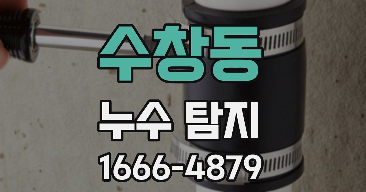 수창동 누수 탐지