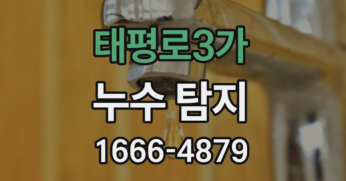 태평로3가 누수 탐지