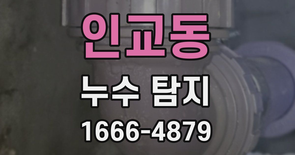 인교동 누수 탐지