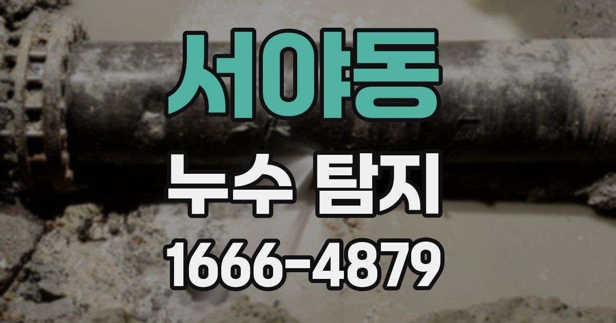 서야동 누수 탐지