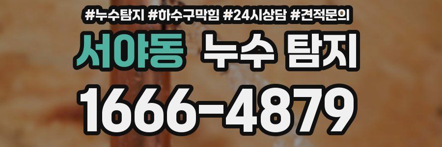 서야동 누수 탐지