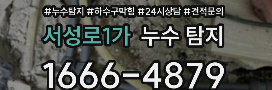 서성로1가 누수 탐지