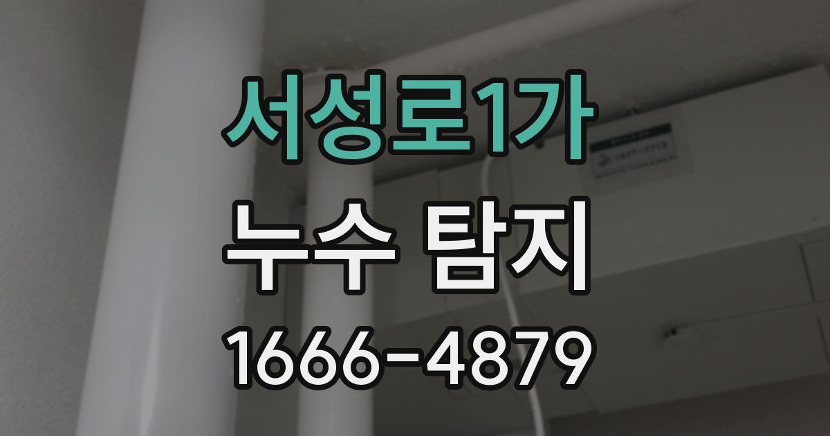 서성로1가 누수 탐지