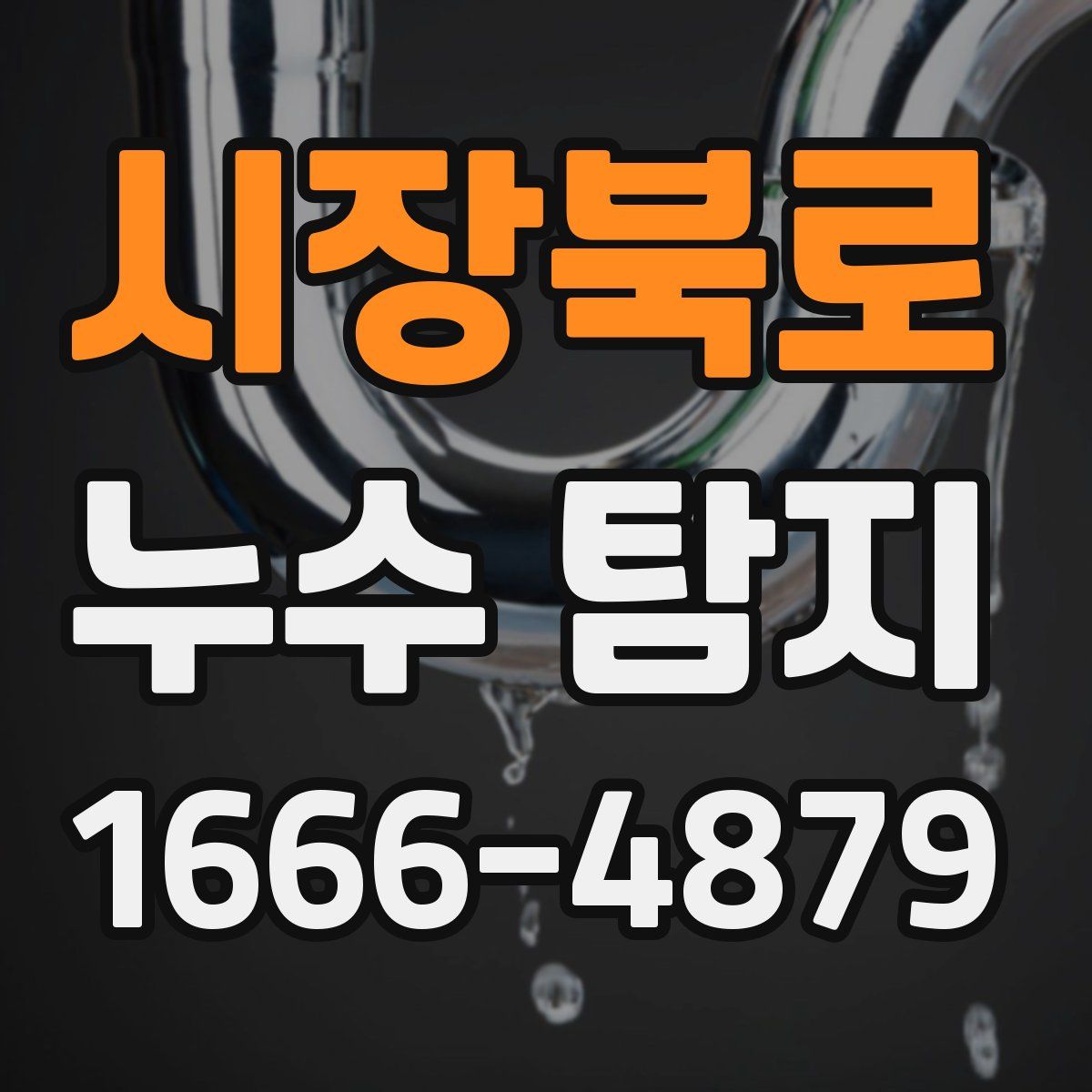 시장북로 누수 탐지