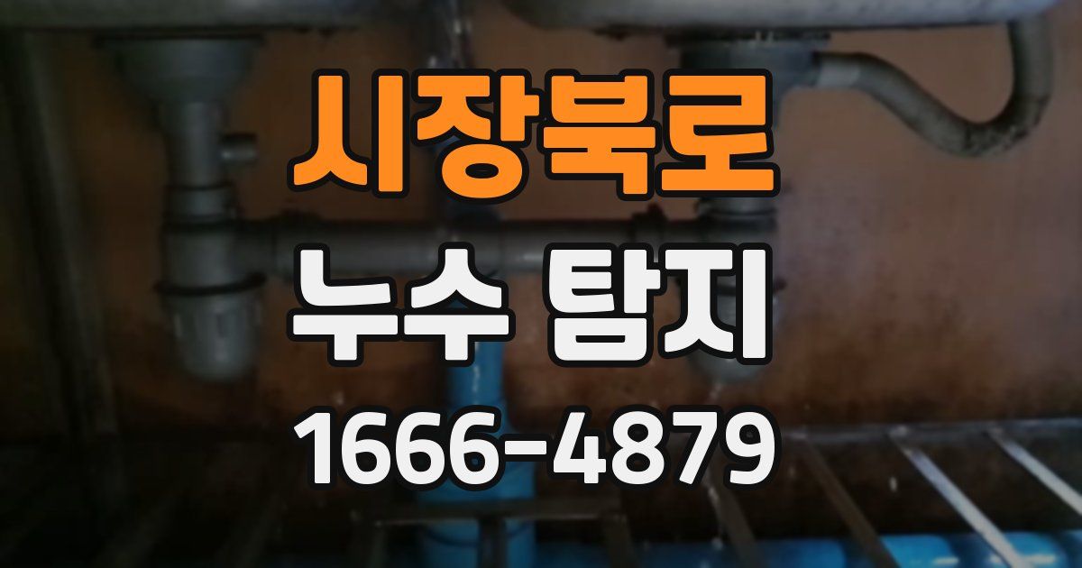 시장북로 누수 탐지