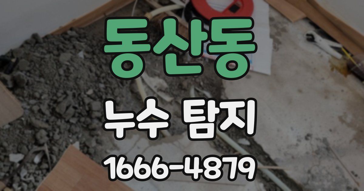 동산동 누수 탐지