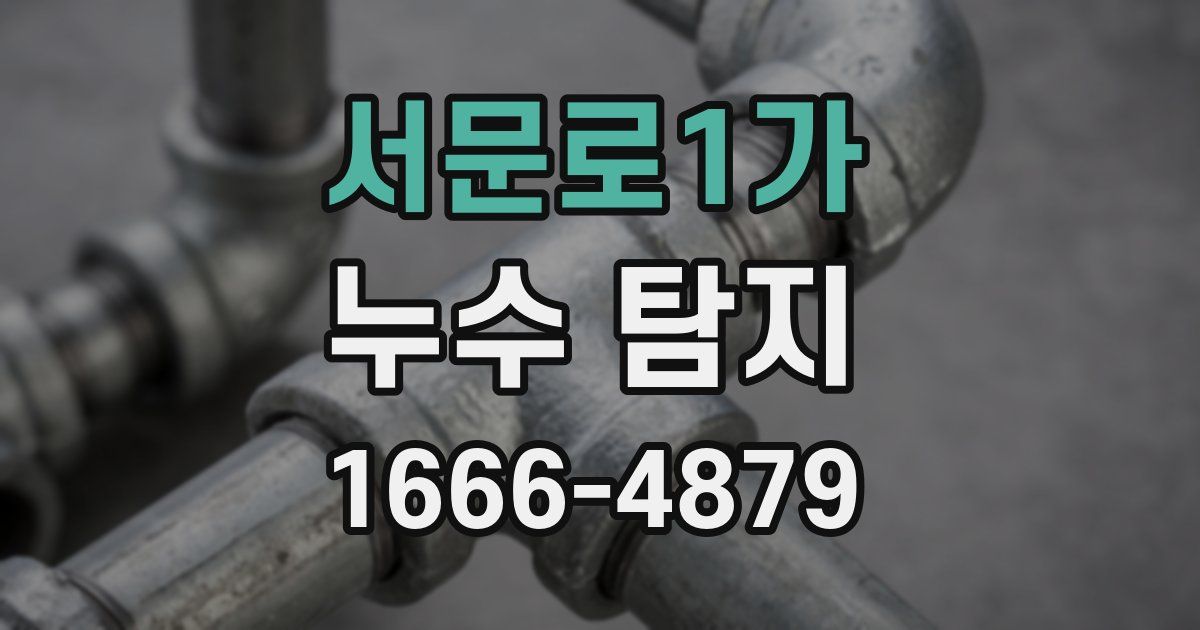 서문로1가 누수 탐지