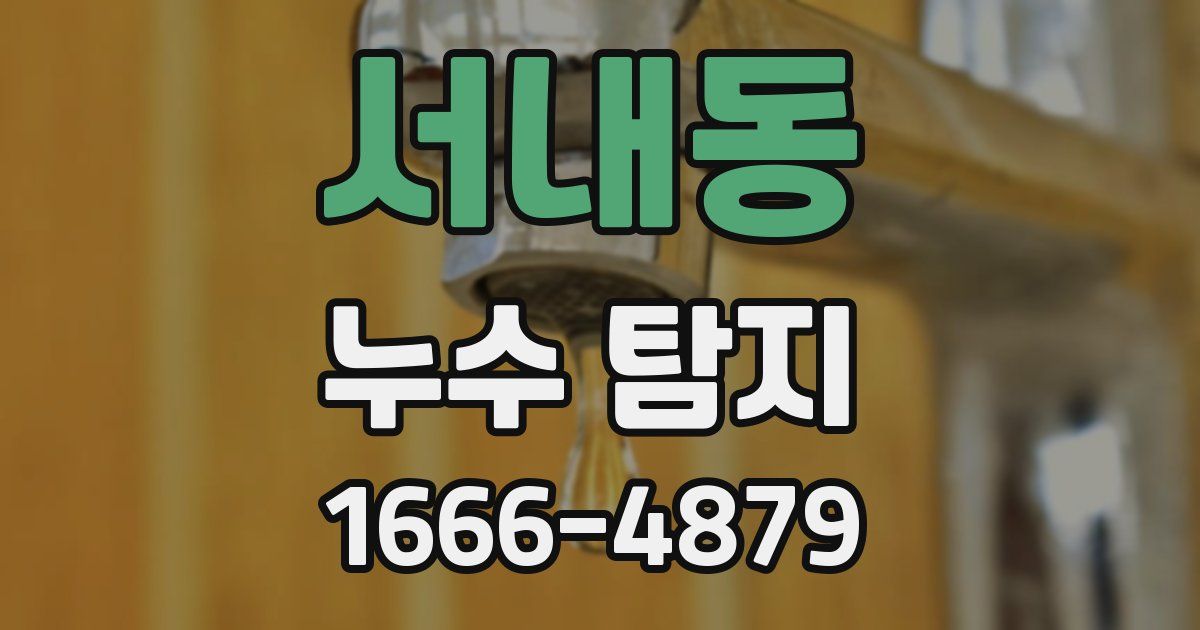 서내동 누수 탐지