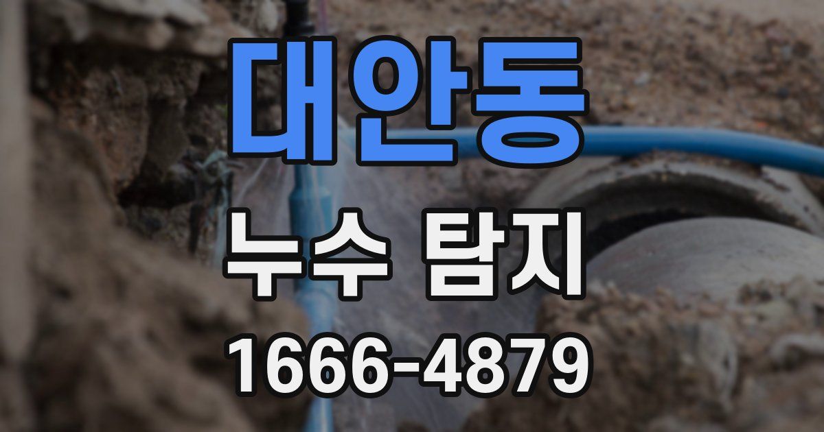 대안동 누수 탐지