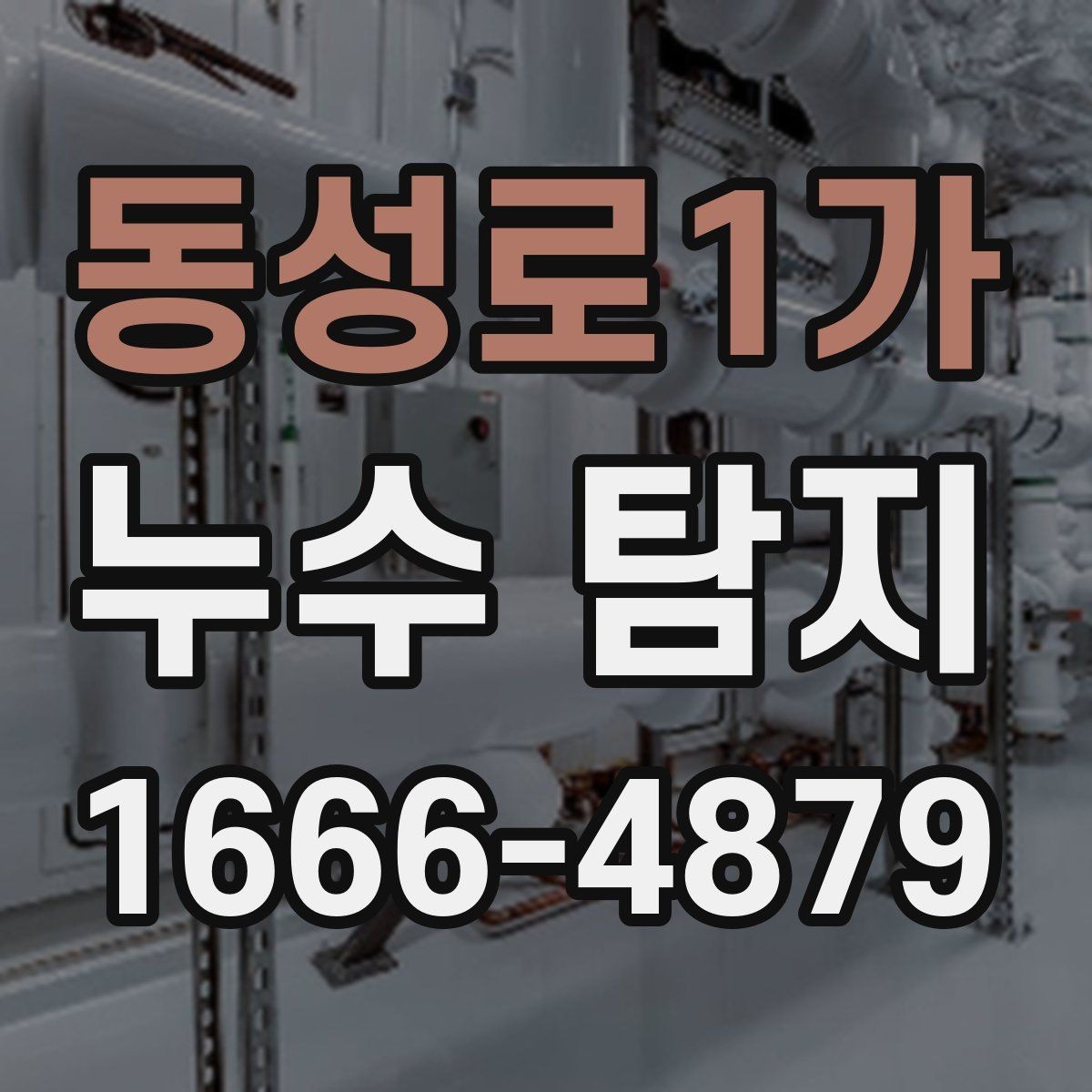 동성로1가 누수 탐지 업체 후기 읽는 방법
