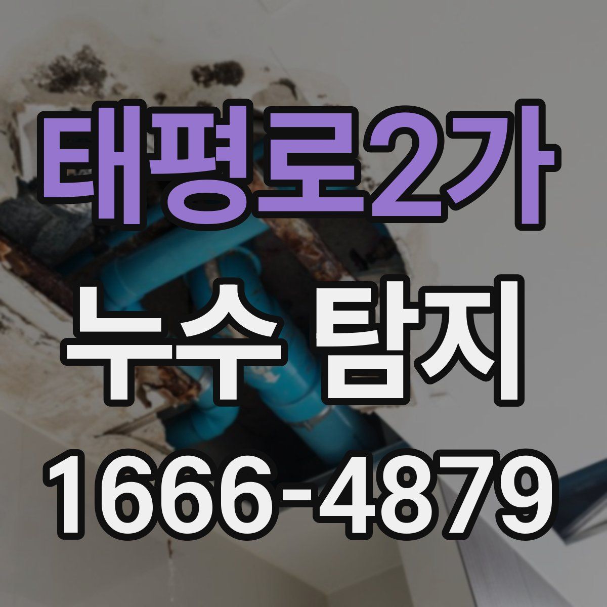 태평로2가 누수 탐지