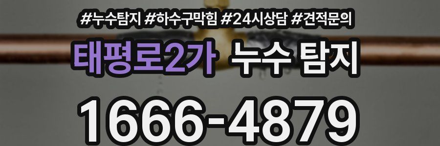 태평로2가 누수 탐지