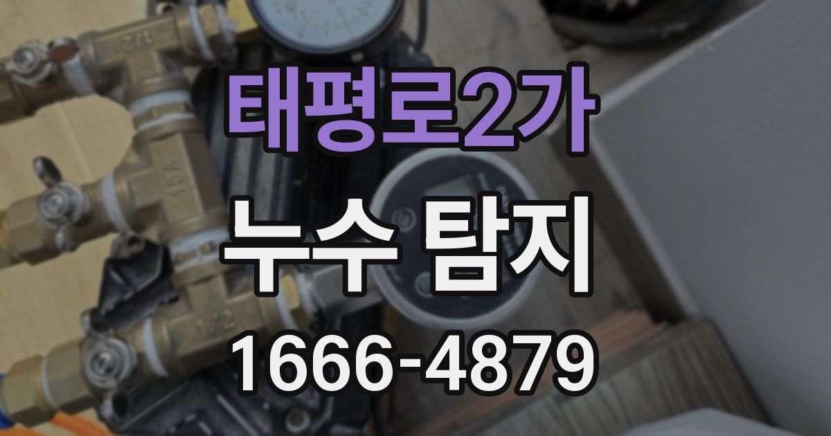 태평로2가 누수 탐지