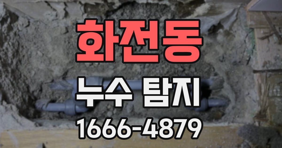화전동 누수 탐지