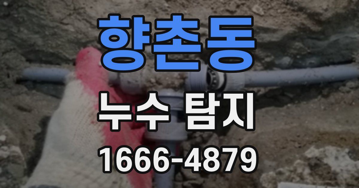 향촌동 누수 탐지