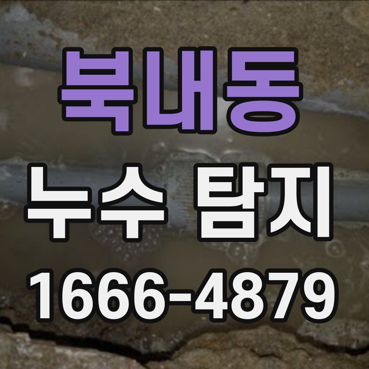 북내동 누수 탐지