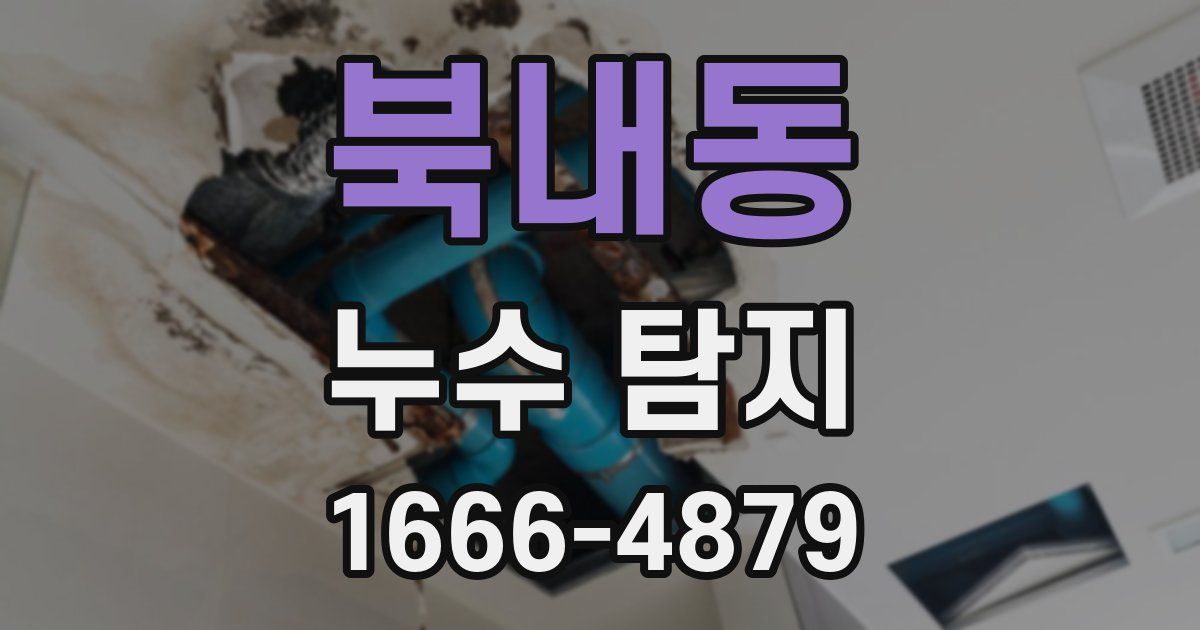 북내동 누수 탐지