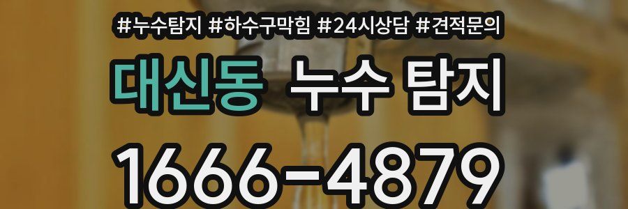 대신동 누수 탐지