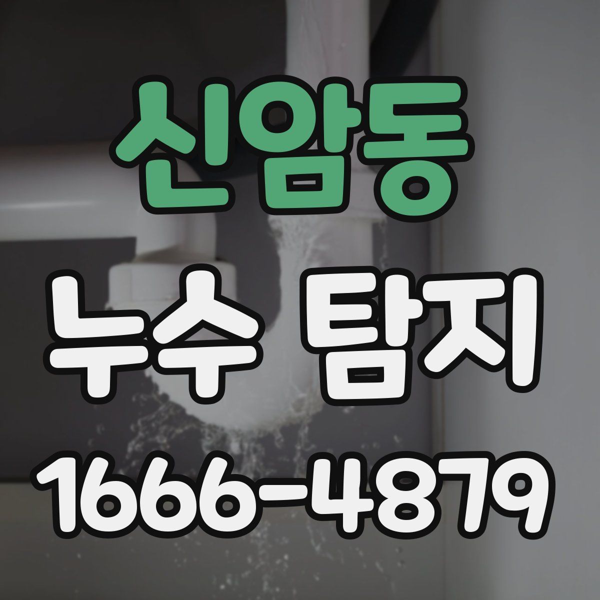신암동 누수 탐지
