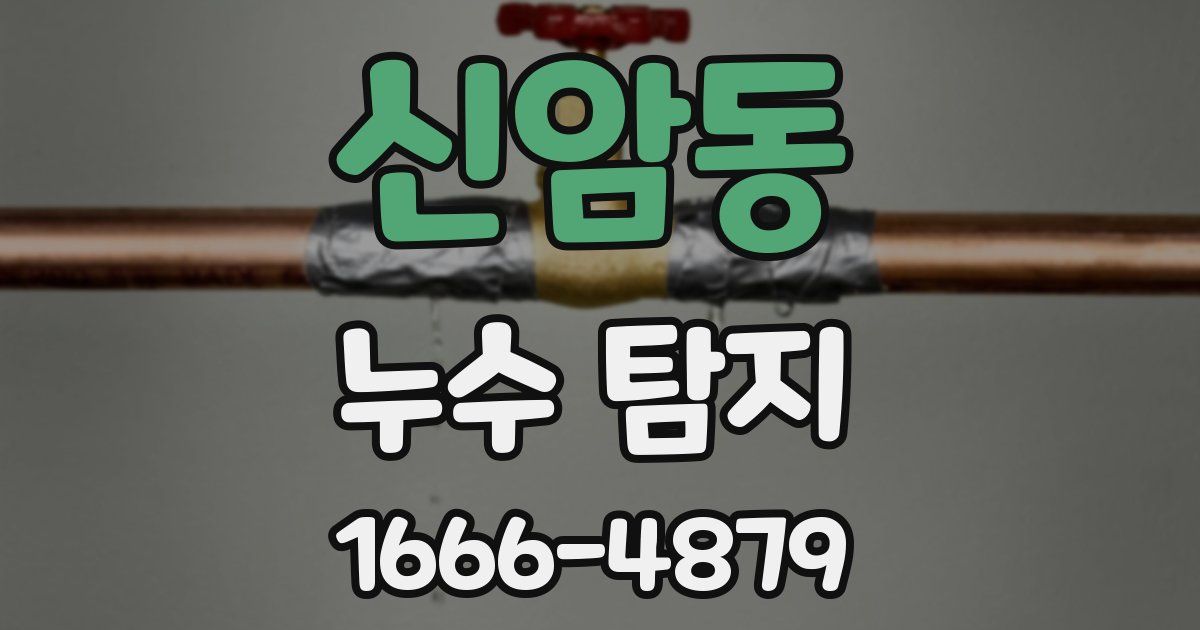 신암동 누수 탐지