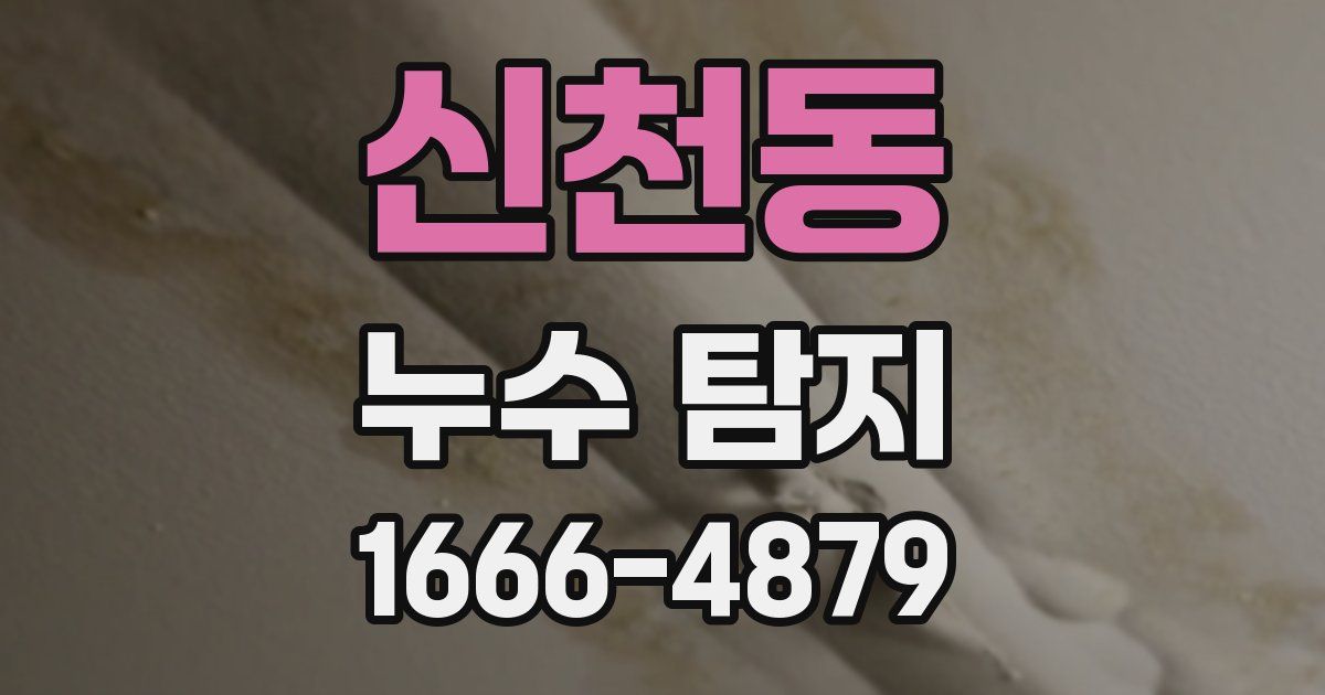 신천동 누수 탐지