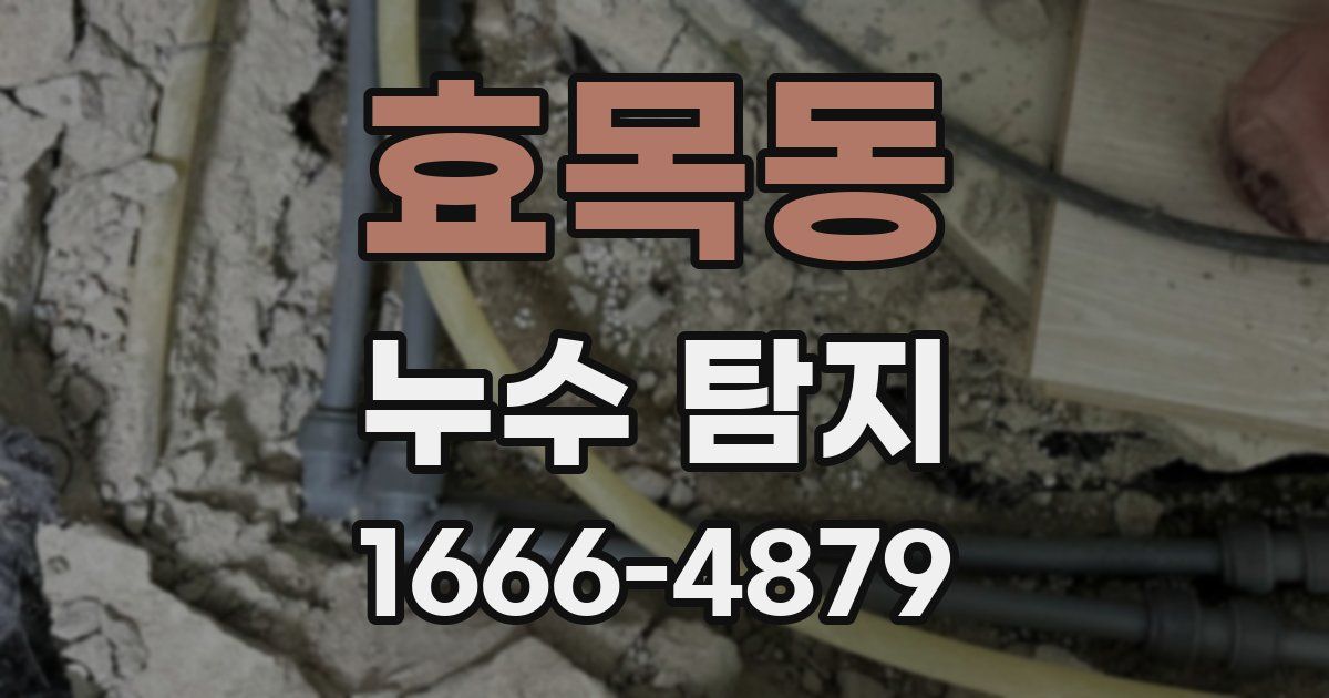 효목동 누수 탐지