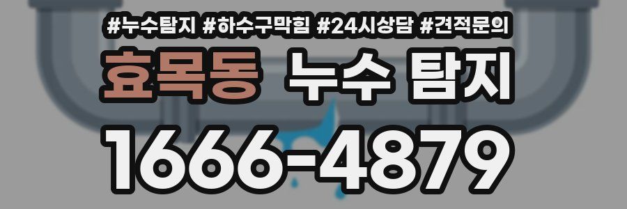 효목동 누수 탐지