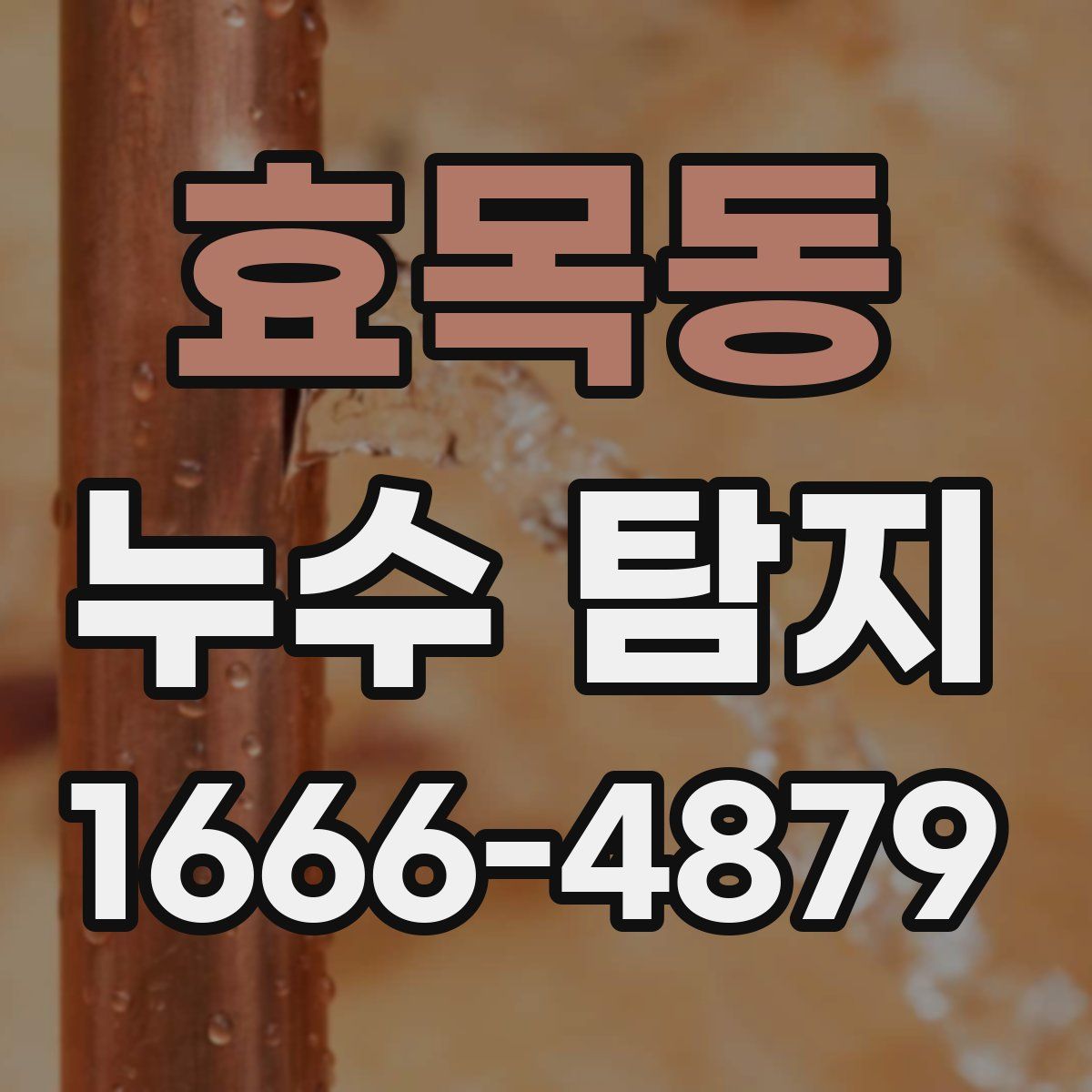 효목동 누수 탐지