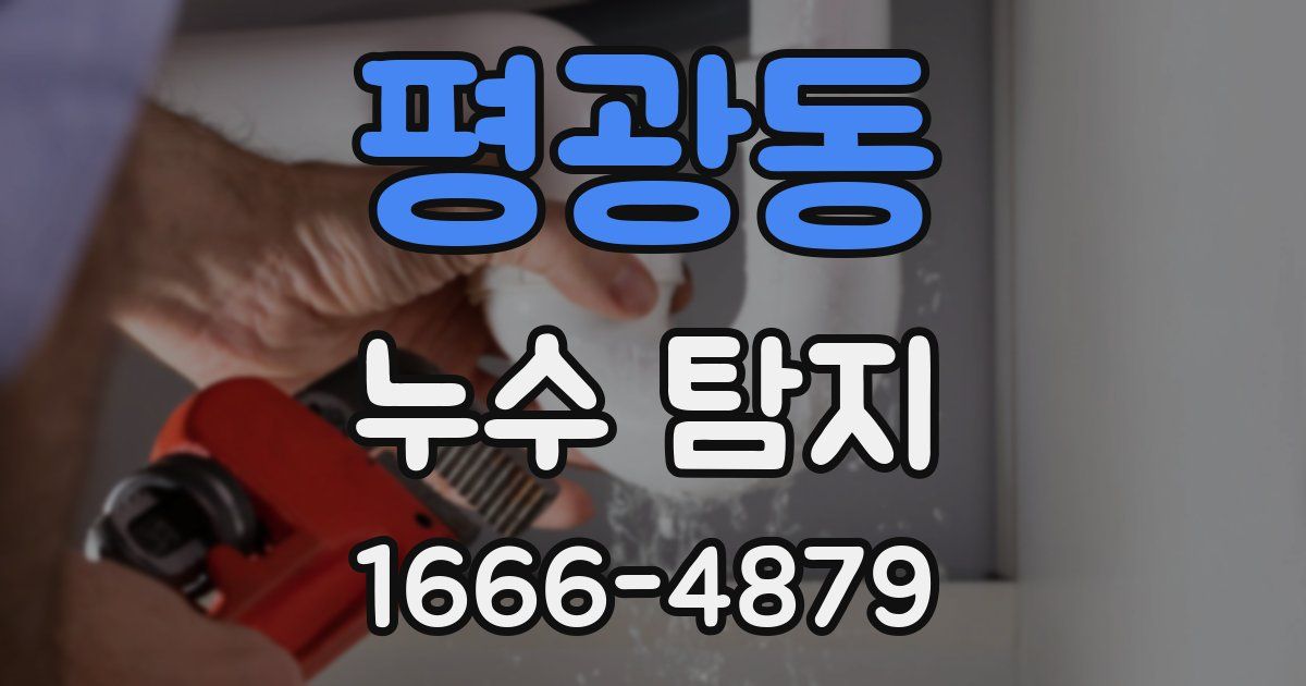 평광동 누수 탐지